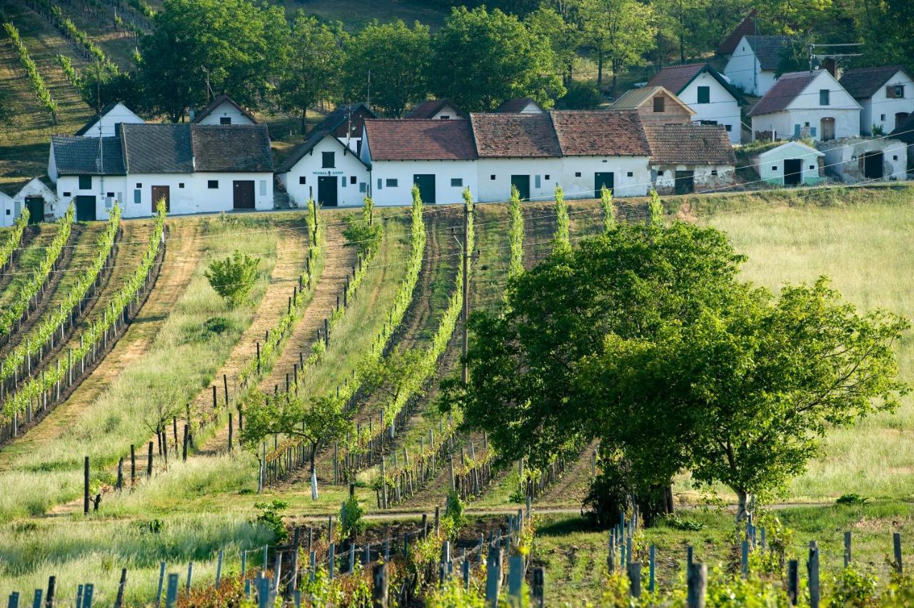 Weinhotel Rieder Poysdorf Extérieur photo